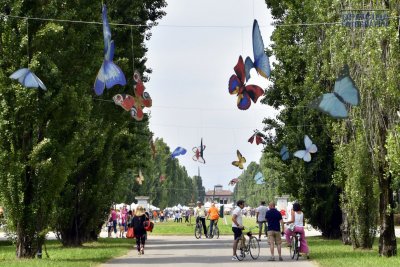 La Festa